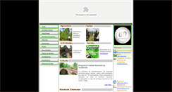 Desktop Screenshot of gremialforestal.com