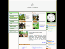 Tablet Screenshot of gremialforestal.com